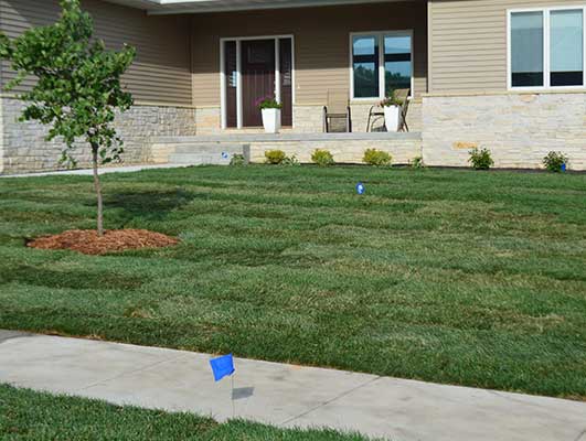 Image about lawn care