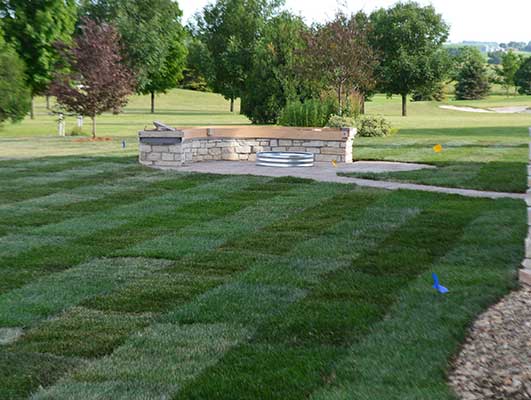 Image of lawn treatment